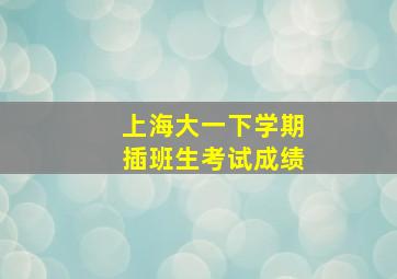 上海大一下学期插班生考试成绩