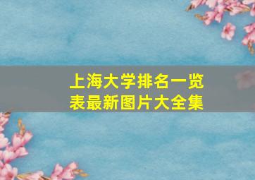 上海大学排名一览表最新图片大全集