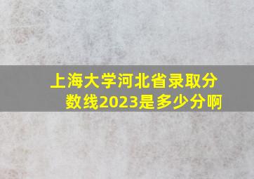 上海大学河北省录取分数线2023是多少分啊