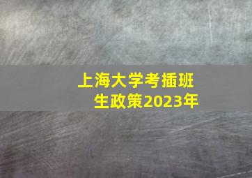 上海大学考插班生政策2023年