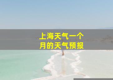 上海天气一个月的天气预报