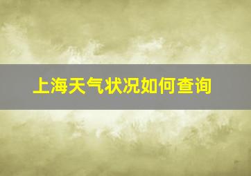 上海天气状况如何查询