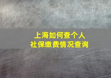 上海如何查个人社保缴费情况查询