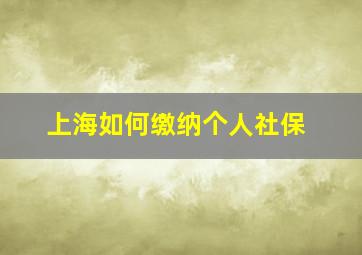 上海如何缴纳个人社保