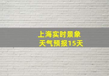 上海实时景象天气预报15天