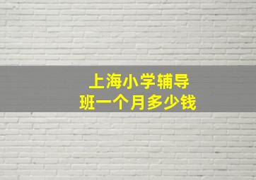 上海小学辅导班一个月多少钱