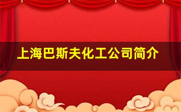 上海巴斯夫化工公司简介