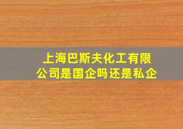 上海巴斯夫化工有限公司是国企吗还是私企