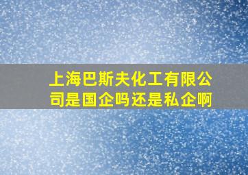 上海巴斯夫化工有限公司是国企吗还是私企啊