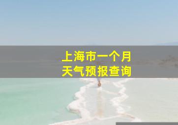 上海市一个月天气预报查询