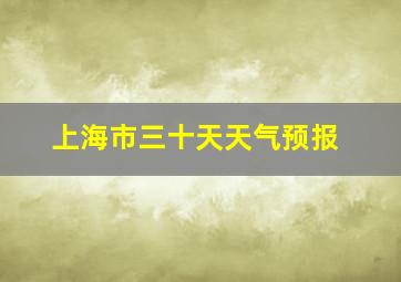 上海市三十天天气预报