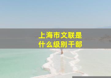 上海市文联是什么级别干部