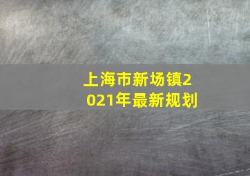 上海市新场镇2021年最新规划