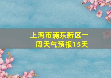 上海市浦东新区一周天气预报15天