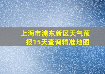 上海市浦东新区天气预报15天查询精准地图