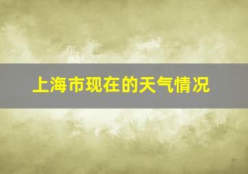 上海市现在的天气情况