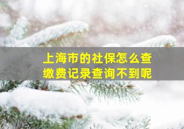 上海市的社保怎么查缴费记录查询不到呢