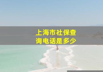 上海市社保查询电话是多少