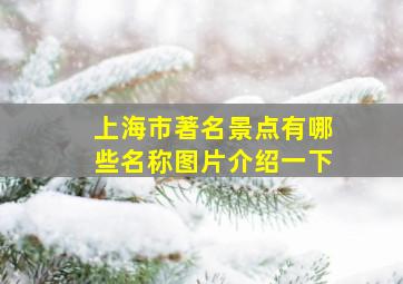 上海市著名景点有哪些名称图片介绍一下