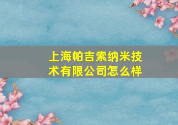 上海帕吉索纳米技术有限公司怎么样