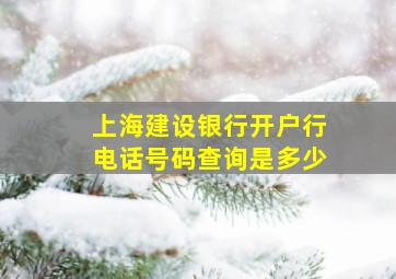 上海建设银行开户行电话号码查询是多少