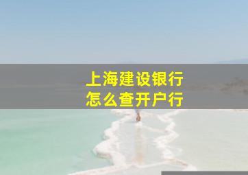 上海建设银行怎么查开户行