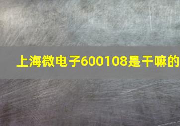 上海微电子600108是干嘛的