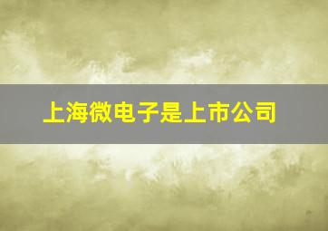 上海微电子是上市公司