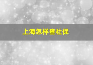 上海怎样查社保