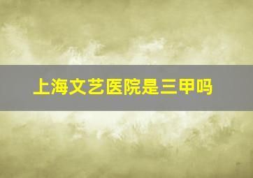 上海文艺医院是三甲吗