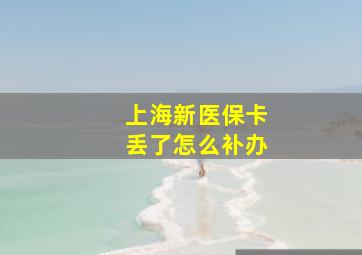 上海新医保卡丢了怎么补办