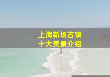 上海新场古镇十大美景介绍