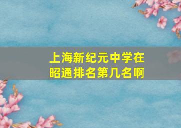 上海新纪元中学在昭通排名第几名啊