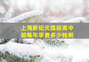 上海新纪元国际高中部每年学费多少钱啊