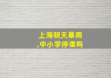 上海明天暴雨,中小学停课吗