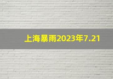 上海暴雨2023年7.21