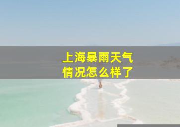 上海暴雨天气情况怎么样了