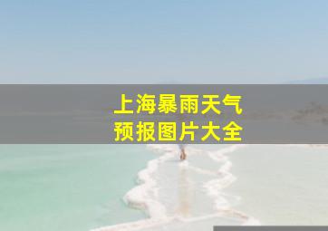 上海暴雨天气预报图片大全