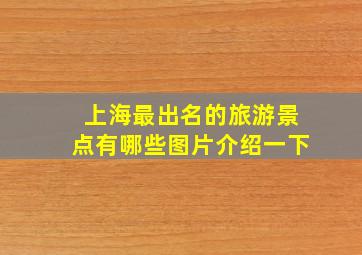 上海最出名的旅游景点有哪些图片介绍一下