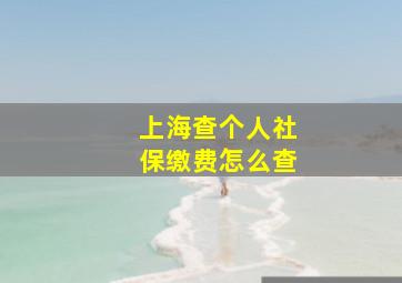 上海查个人社保缴费怎么查