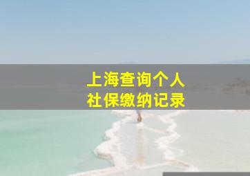 上海查询个人社保缴纳记录