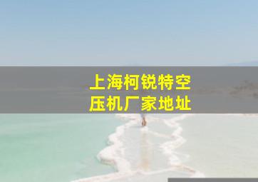 上海柯锐特空压机厂家地址