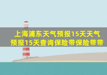 上海浦东天气预报15天天气预报15天查询保险带保险带带