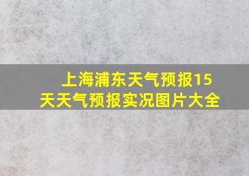 上海浦东天气预报15天天气预报实况图片大全