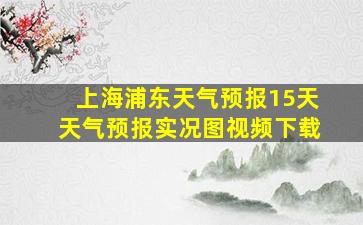 上海浦东天气预报15天天气预报实况图视频下载