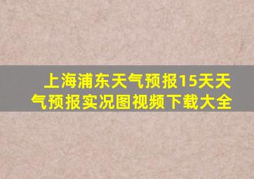 上海浦东天气预报15天天气预报实况图视频下载大全