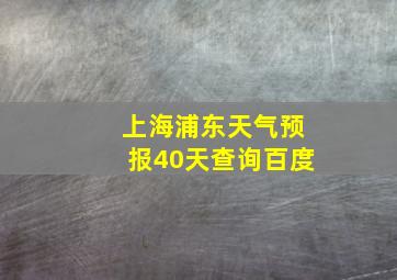 上海浦东天气预报40天查询百度