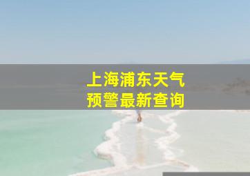 上海浦东天气预警最新查询