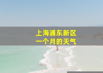 上海浦东新区一个月的天气