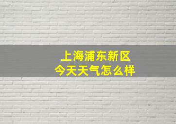 上海浦东新区今天天气怎么样